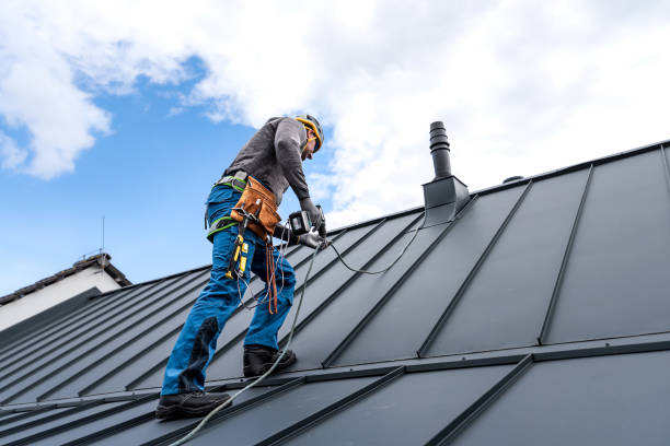 Best Sheet Metal Roofing  in Perry Heights, OH